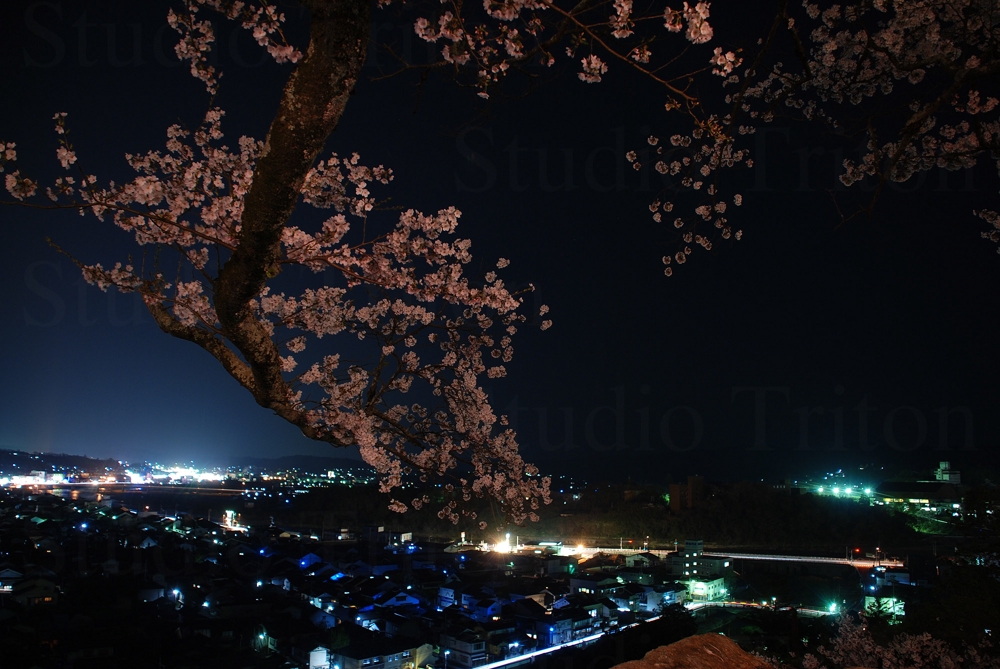 夜桜と城下町