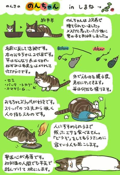 猫の生態・・・