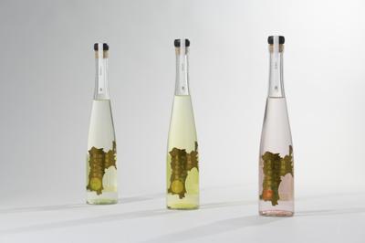 果実酢のボトルデザイン