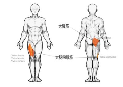 人体図サンプル