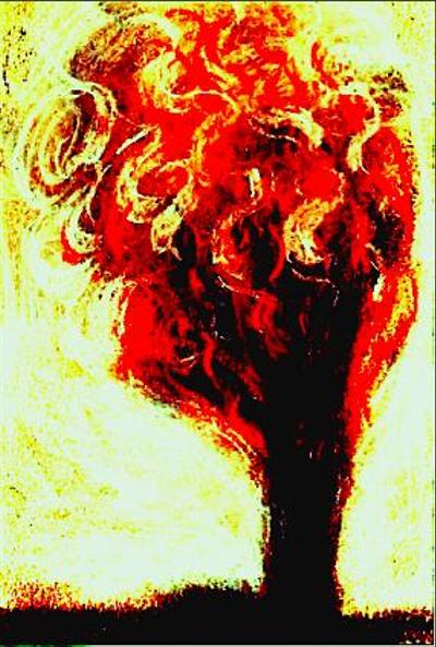 燃える木