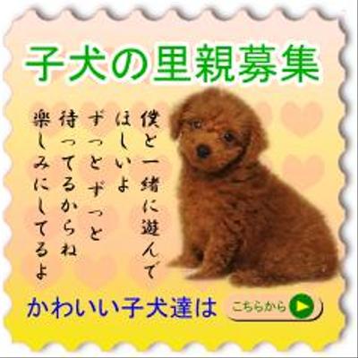 子犬里親探し