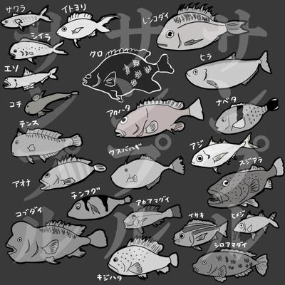 書籍の挿絵で魚のイラスト描きました