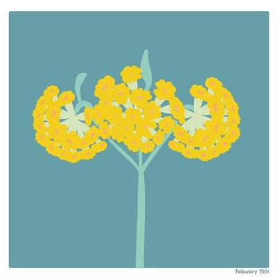 誕生花、花の絵を描きました