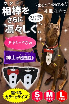 ドッグウエア市場へ参入する際、後発組として
小型犬向けではなく、大型犬の愛好者に刺さる画像を制作しました