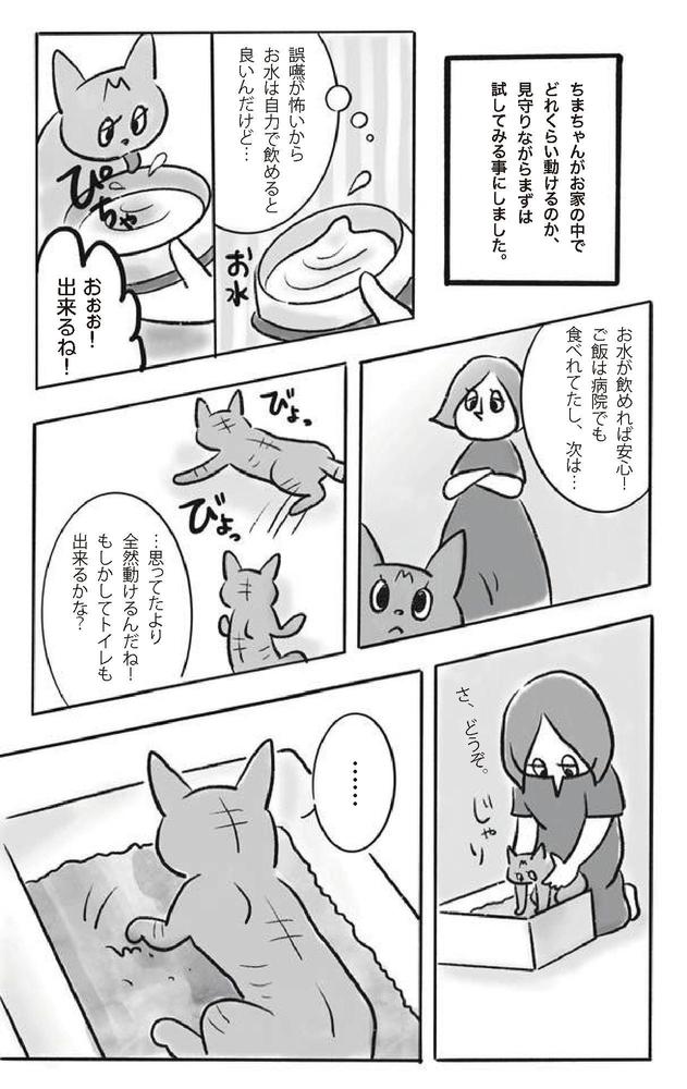 ライフワークの保護猫活動を、漫画にしました