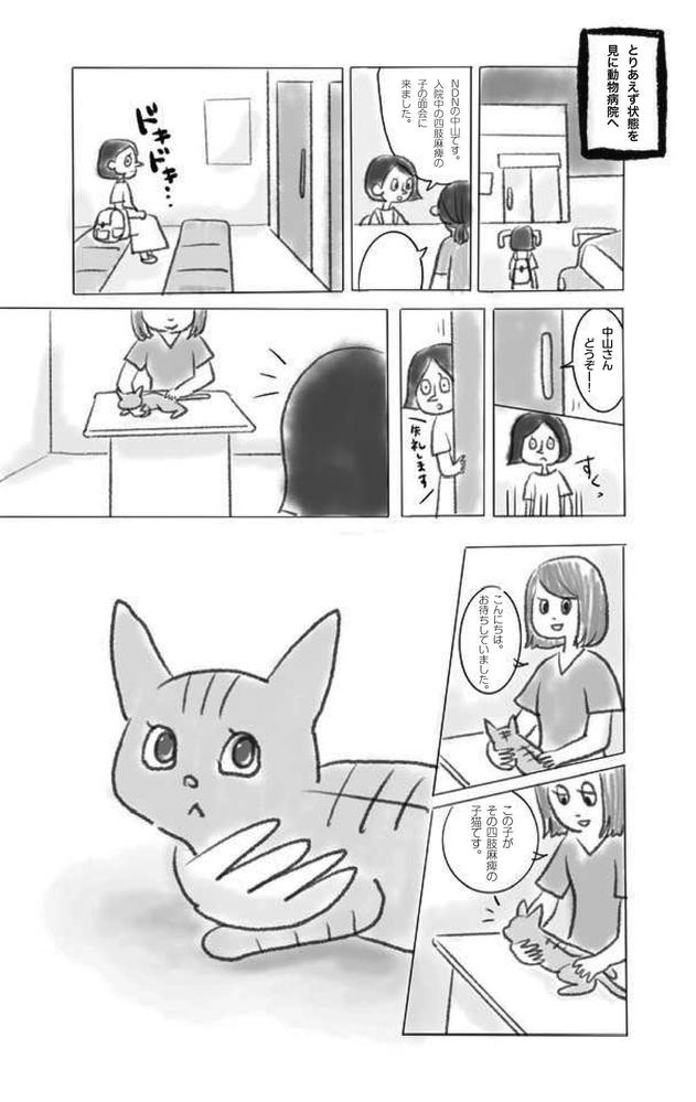 ライフワークの保護猫活動を、漫画にしました