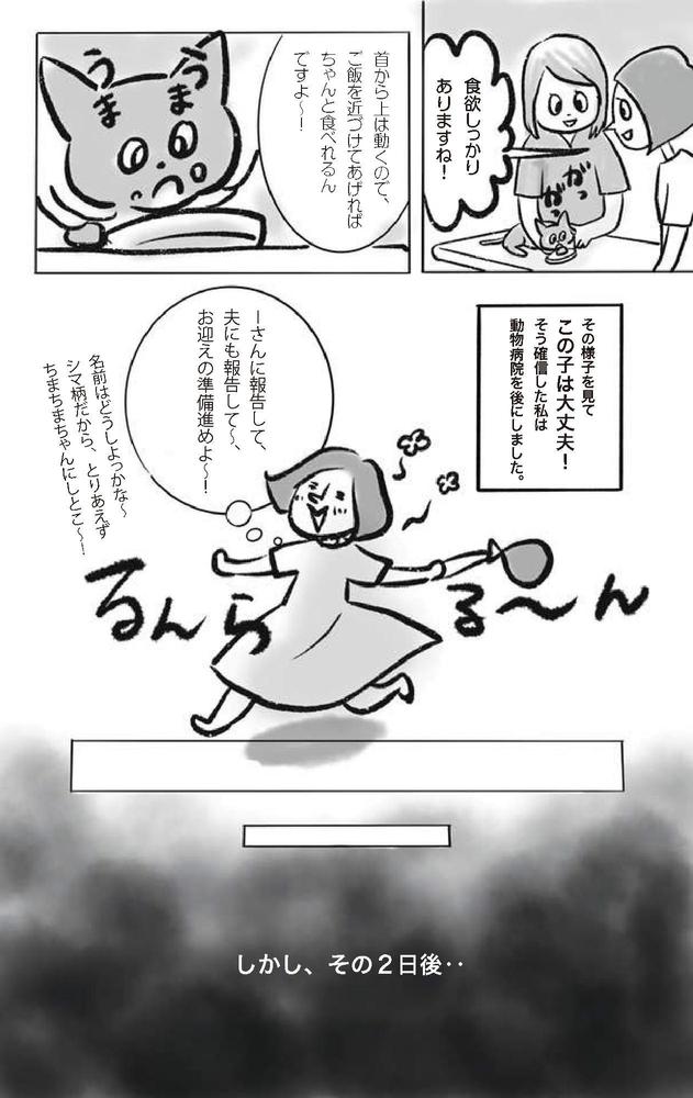 ライフワークの保護猫活動を、漫画にしました