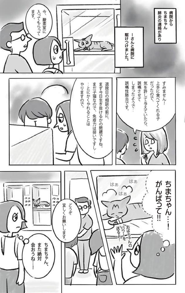 ライフワークの保護猫活動を、漫画にしました