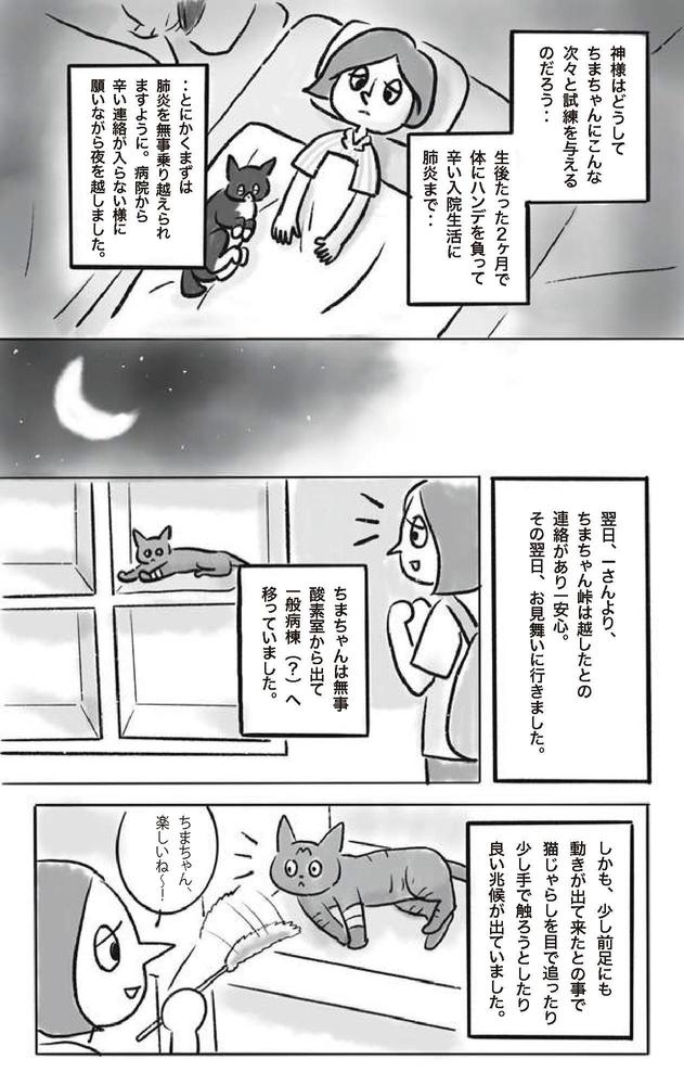 ライフワークの保護猫活動を、漫画にしました