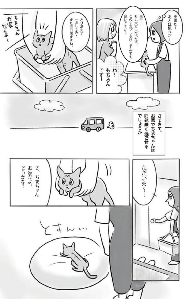 ライフワークの保護猫活動を、漫画にしました