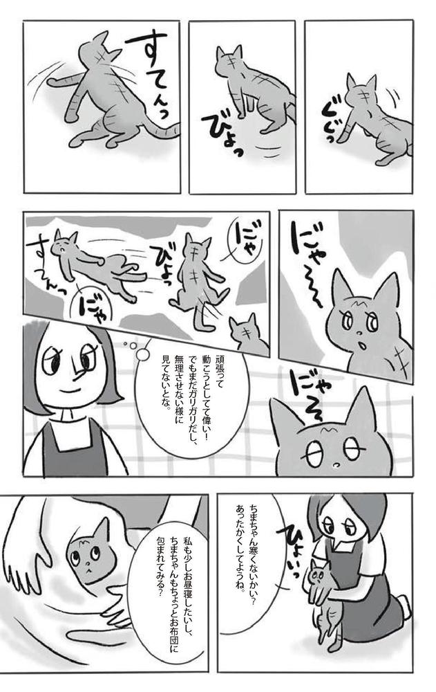 ライフワークの保護猫活動を、漫画にしました