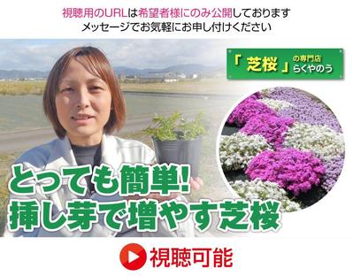 園芸用品専門店のハウツー動画とサムネイルを制作しました