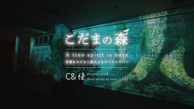 『こだまの森』の背景3DCG制作を担当し ました