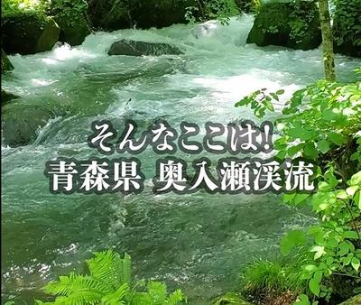 青森県の奥入瀬渓流の魅力を発信するショート動画を作成しました