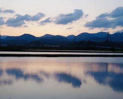田植えはじめました