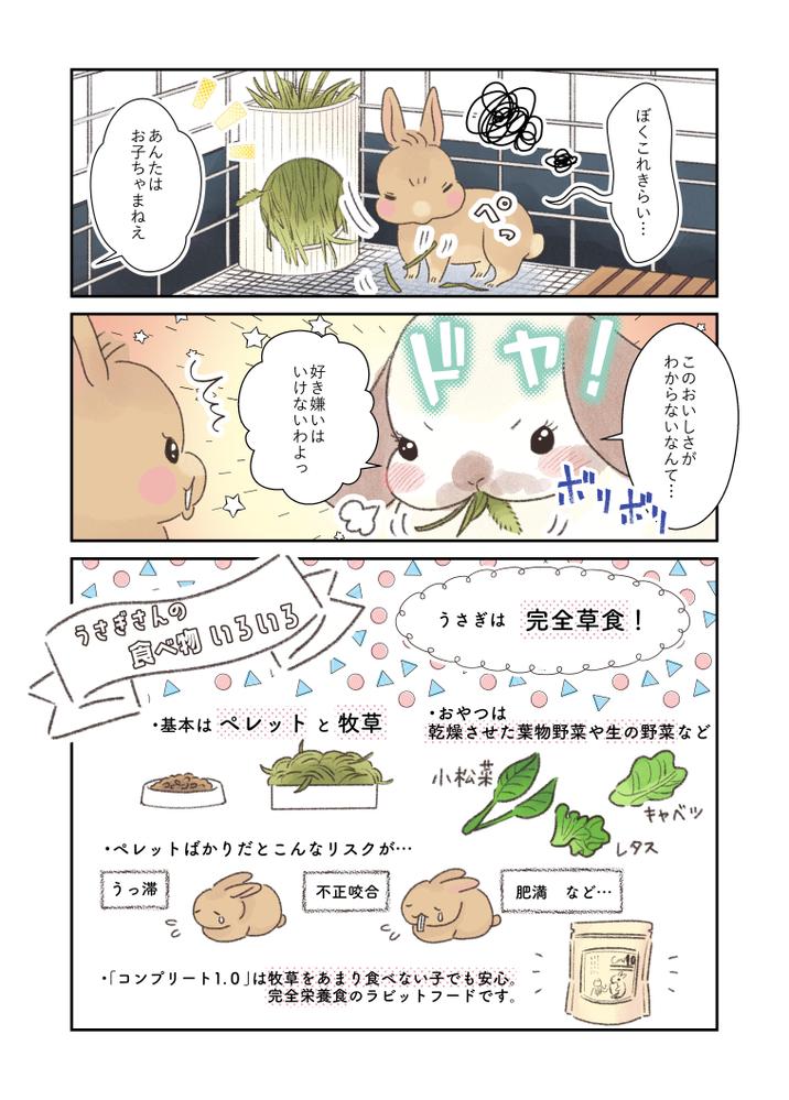 うさぎのお世話についてのマンガを連載しました