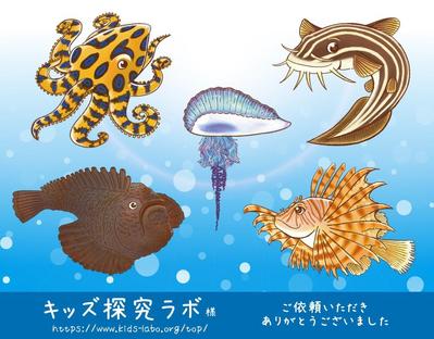 【キッズ探究ラボ】様　　磯の生き物のイラスト作成しました
