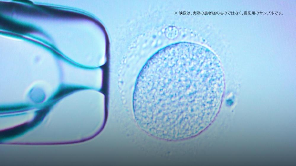 ソフィアレディスクリニック【公式】相模原市淵野辺の産婦人科・不妊治療・更年期の撮影・編集を担当いたしました