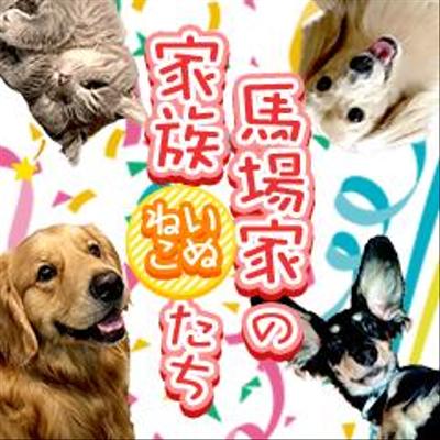 動物の写真を使ってLINEスタンプを作成しました