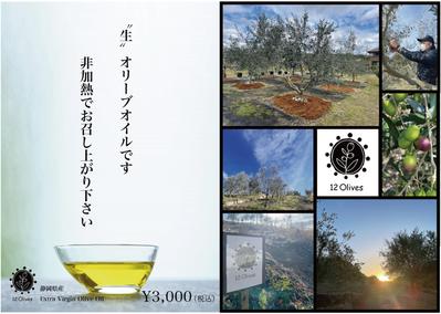 オリーブ加工食品を販売している方の各種商品POPやチラシを作成しました