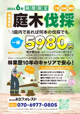 6月期間限定、1庭内であれば何本の伐採でも一律5980円で伐採を行うキャンペーンのチラシ作成しました