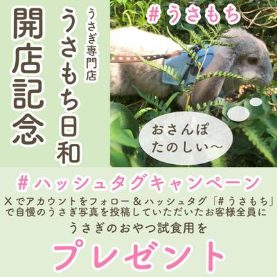架空のうさぎ専門店の開店記念バナーを自主制作しました