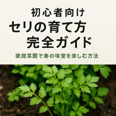 春の味覚「セリ栽培ガイド」を構成・執筆しました