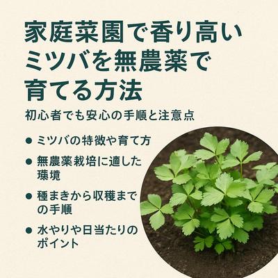 無農薬でミツバを育てるブログ記事を執筆しました