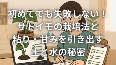 初心者向けサトイモ栽培ブログ記事を制作しました