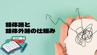 理学療法士向けの勉強会（中枢神経）の資料を作成しました