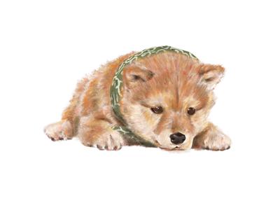 ペットイラストを制作しました