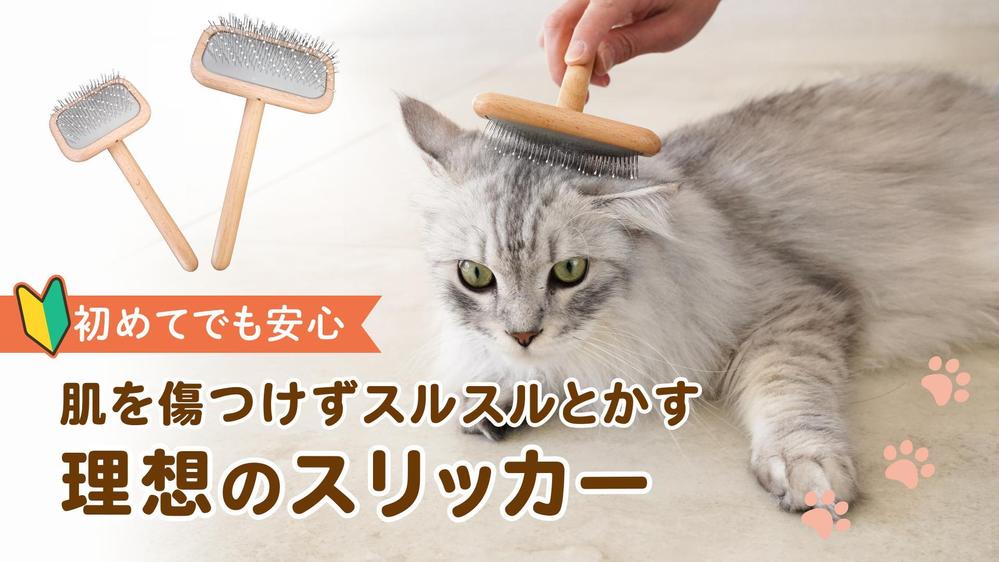 Amazon動画広告を制作させていただきました