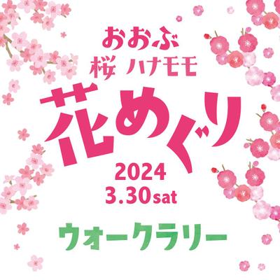 まとめ動画の撮影、編集を担当しました