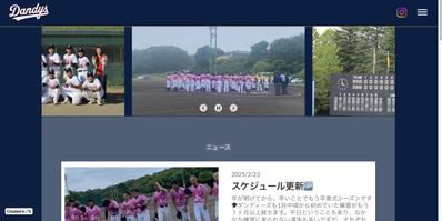 チームサイト⚾️ました