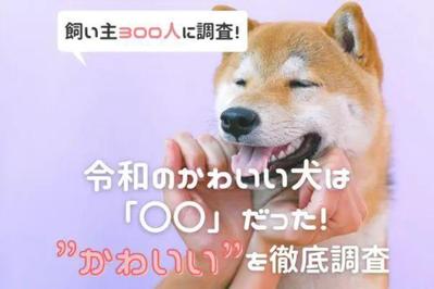 かわいい犬の画像や犬をかわいいと思う理由を記事で紹介しました