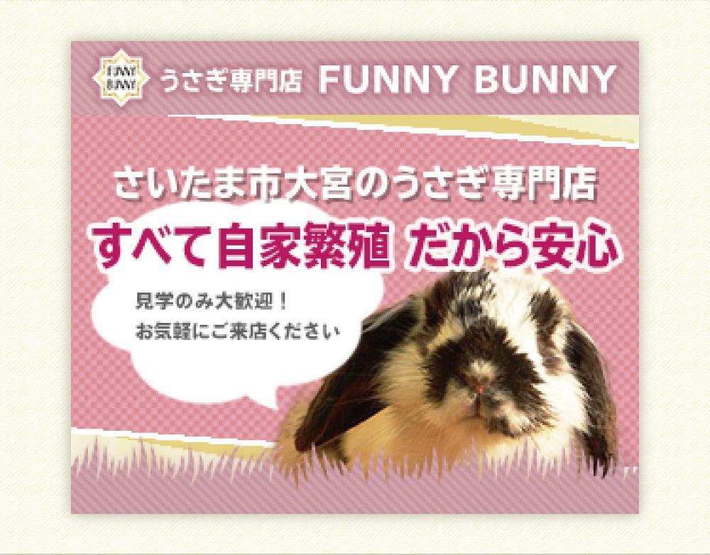 バナー制作　うさぎ専門店（架空店舗）【FUNNY BUNNY】デザインしました