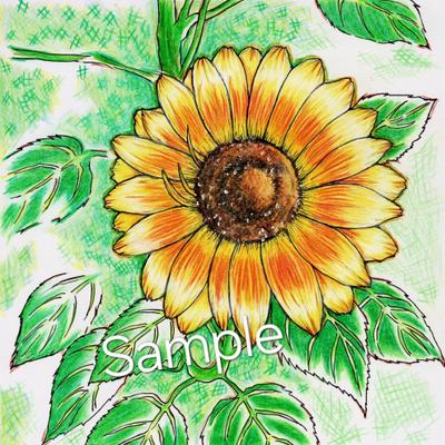 色鉛筆と万年筆を使い手描きのひまわりを制作しました