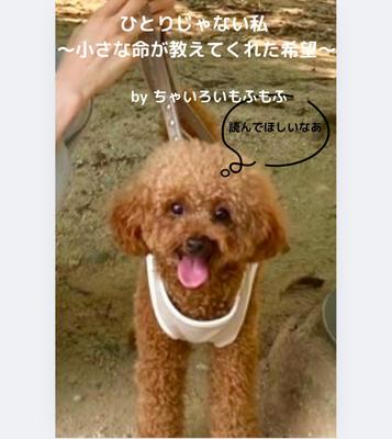 電子書籍を執筆しました