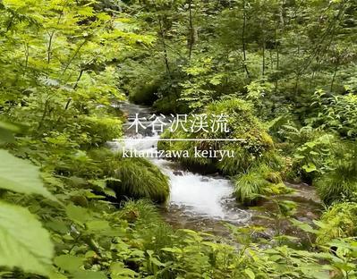 編集の練習を兼ねて地元の渓流を、iPhoneで撮影しAdobe premiere proで編集しました
