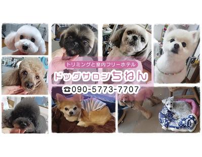 ヘッダー、バナーデザインのご依頼を頂きました