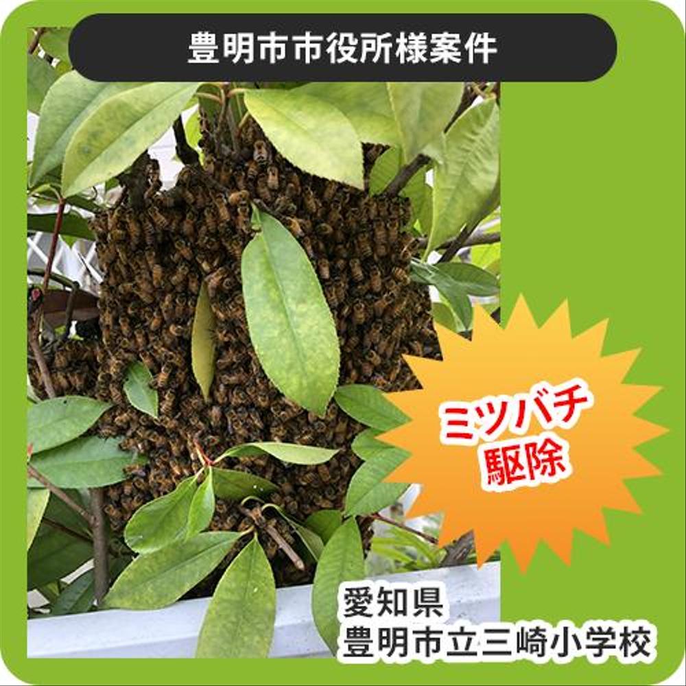 ホームページリニューアル、バナーデザインのご依頼を頂きました