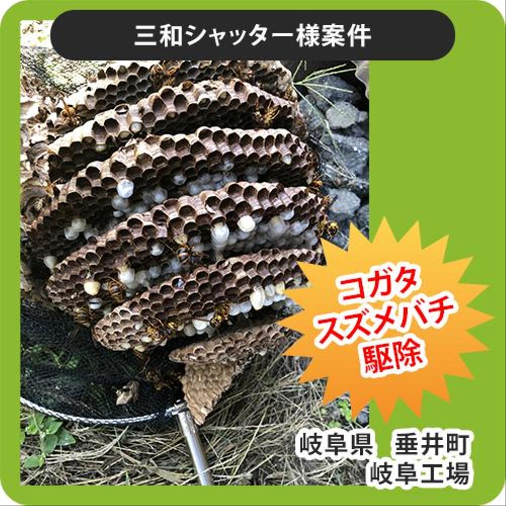 ホームページリニューアル、バナーデザインのご依頼を頂きました