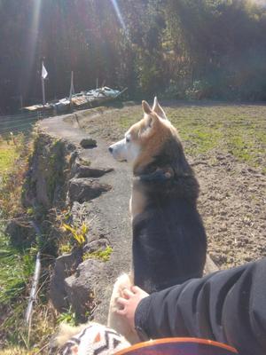 おました