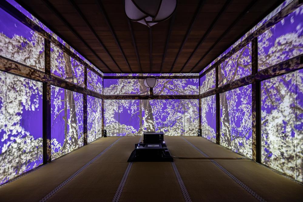 世界遺産 京都 醍醐寺の重要文化財・三宝院「純浄観」内にて「日本国際芸術祭」アートイベントの撮影をしました