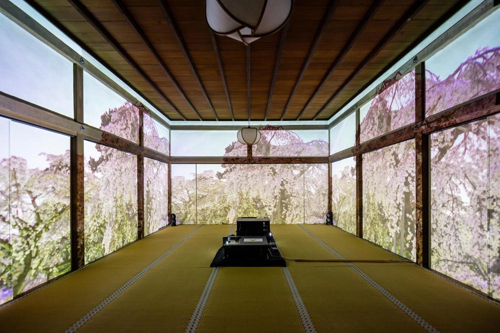 世界遺産 京都 醍醐寺の重要文化財・三宝院「純浄観」内にて「日本国際芸術祭」アートイベントの撮影をしました