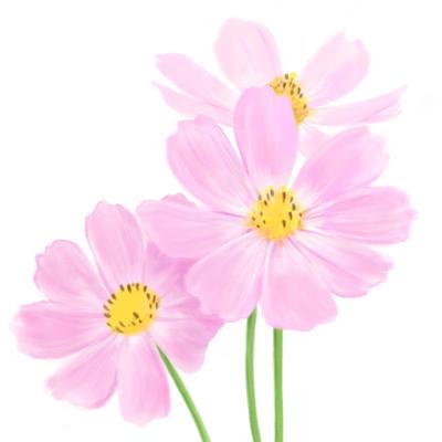 リアルなタッチで花を描きました