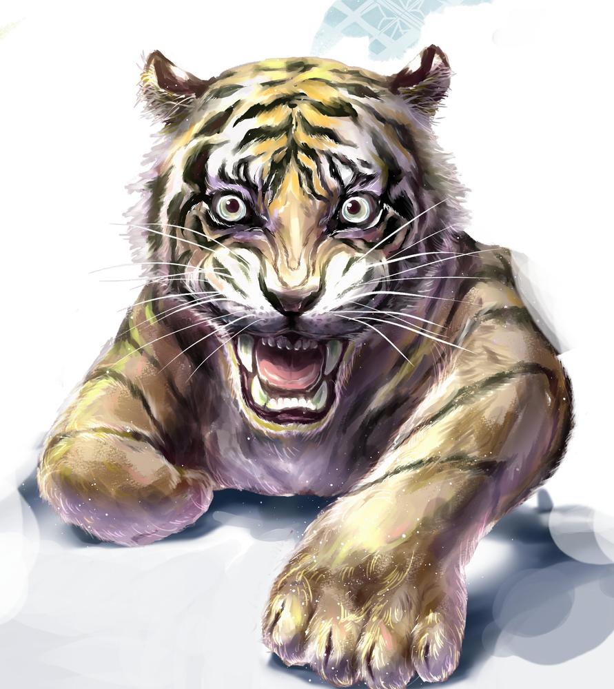動物　植物　イラスト作成しました