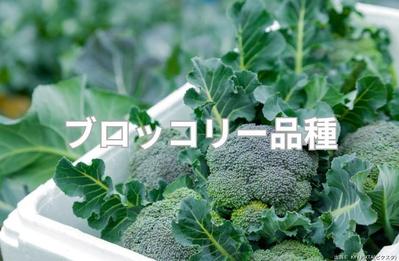 プロ農家向けオウンドメディア（BASFジャパン株式会社）の記事を作成しました