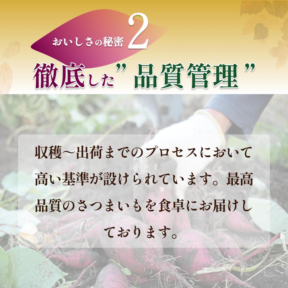 【ECサイトバナー】ブランドさつま芋「紅みずほ」特徴紹介（×3デザイン）を作成しました